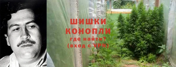 2c-b Алзамай