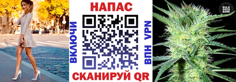 закладка  блэк спрут вход  Бошки марихуана White Widow  Мичуринск 